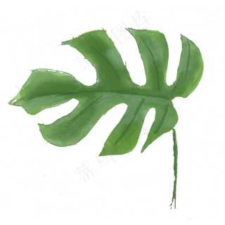 小清新夏天绿色叶子png