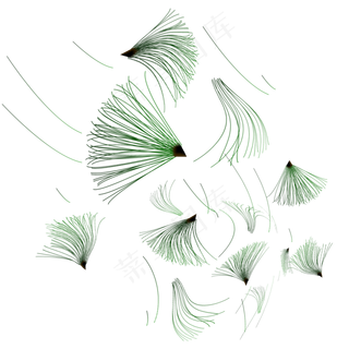 被风吹落的松树叶子