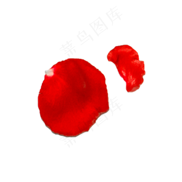 玫瑰花瓣实拍（png免抠）(2000*2000px 72 dpi )psd模版下载