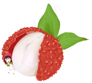 荔枝叶子荔枝仁