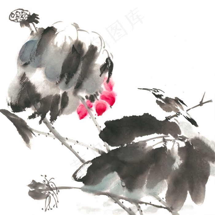 荷花与小鸟水墨画PNG免抠素材(4724X4724(DPI:300))psd模版下载