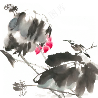 荷花与小鸟水墨画PNG免抠素材