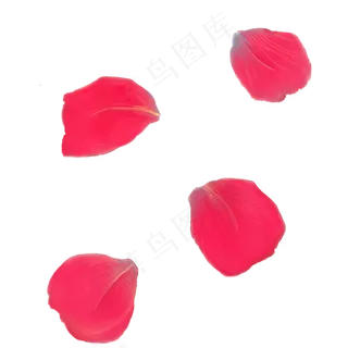 玫瑰花瓣漂浮花卉装饰