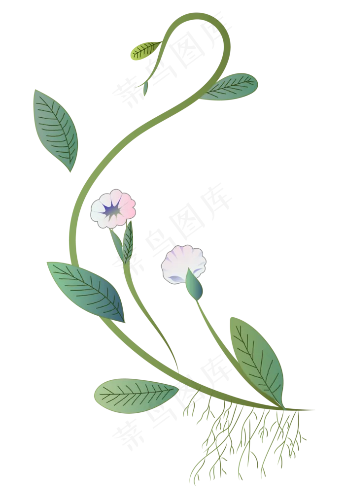 小清新植物花藤插图(2000X3000(DPI:300))ai矢量模版下载