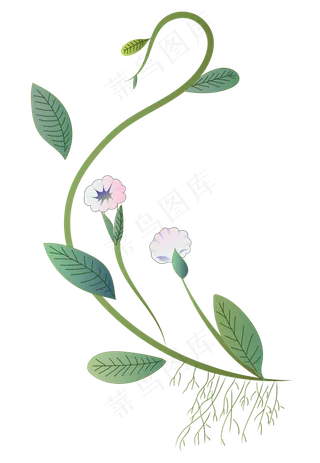 小清新植物花藤插图