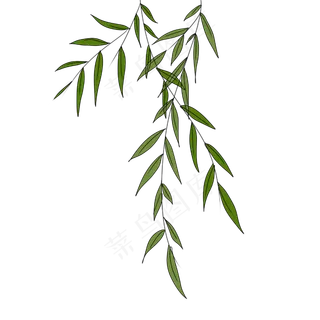 柳树叶春天手绘装饰