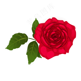 手绘情人节玫瑰花