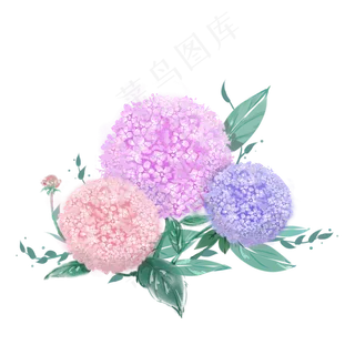 *花绣球花水彩装饰花团PNG