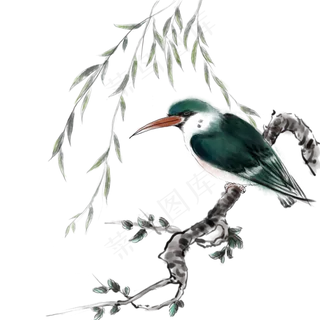 工笔花鸟花枝树枝,免抠元素