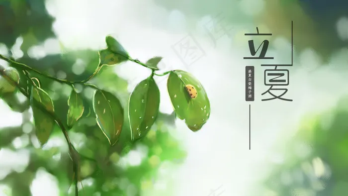 24节气之立夏 七星瓢虫 万物繁茂 树叶(2880X1620(DPI:300))psd模版下载