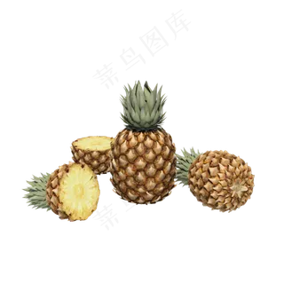 热带水果菠萝凤梨