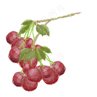 水彩风格手绘水果樱桃小串的