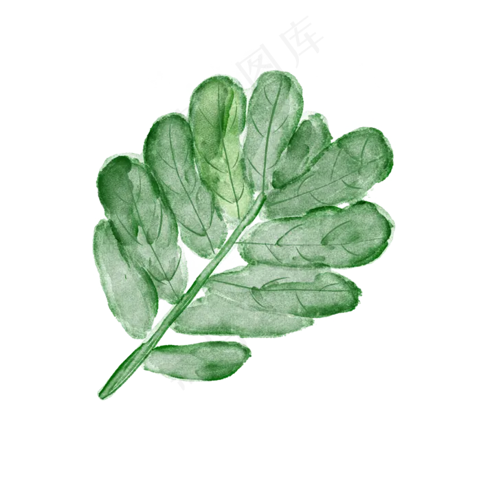 水彩小清新绿色植物树叶(2000X2000(DPI:300))psd模版下载