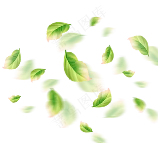 小清新漂浮树叶免抠图案