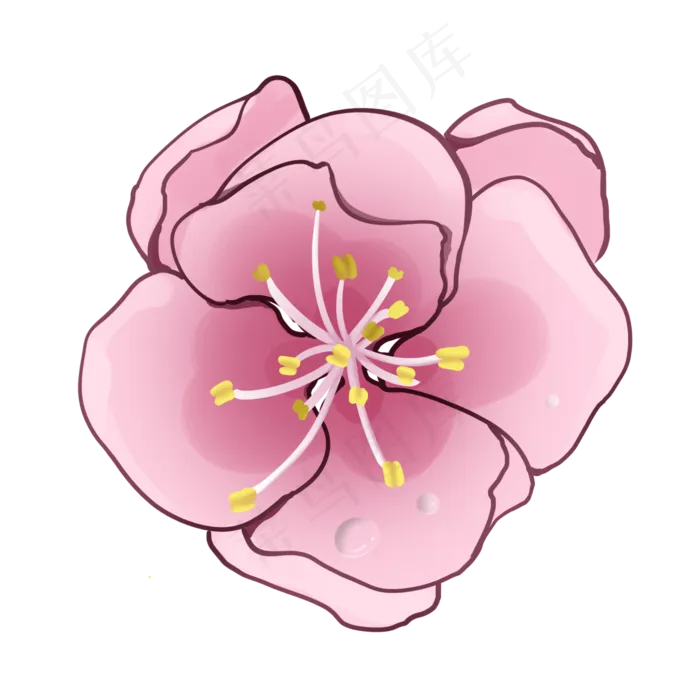 一朵粉嘟嘟的桃花插图(2000X2000(DPI:300))psd模版下载