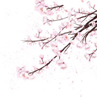 唯美樱花春日赏花,免抠元素