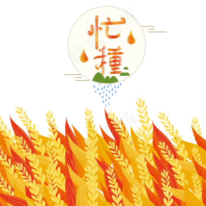 芒种手绘黄色稻谷(2000X2000(DPI:300))psd模版下载