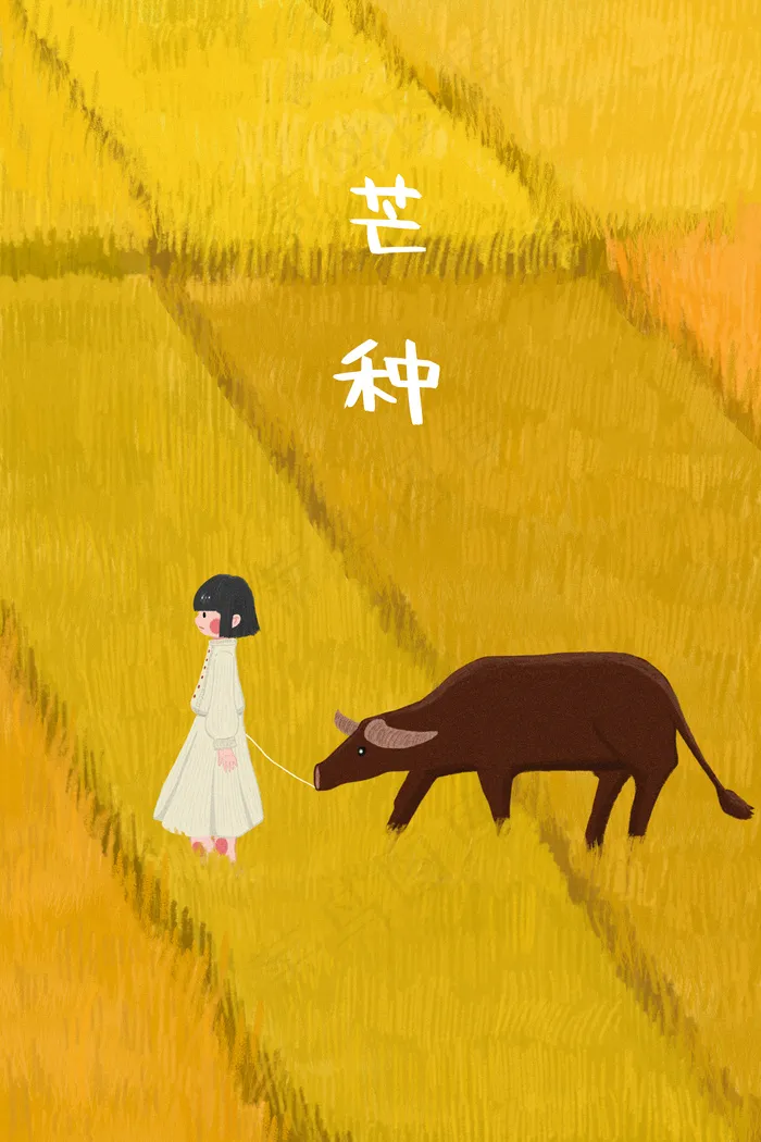 芒种黄色麦田里的女孩和牛(3545*5315px 300 dpi )psd模版下载