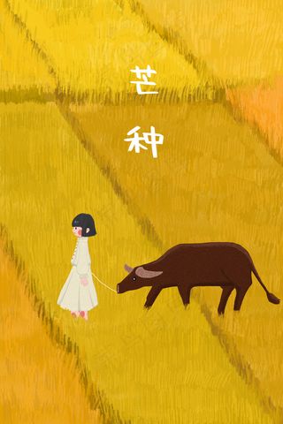 芒种黄色麦田里的女孩和牛