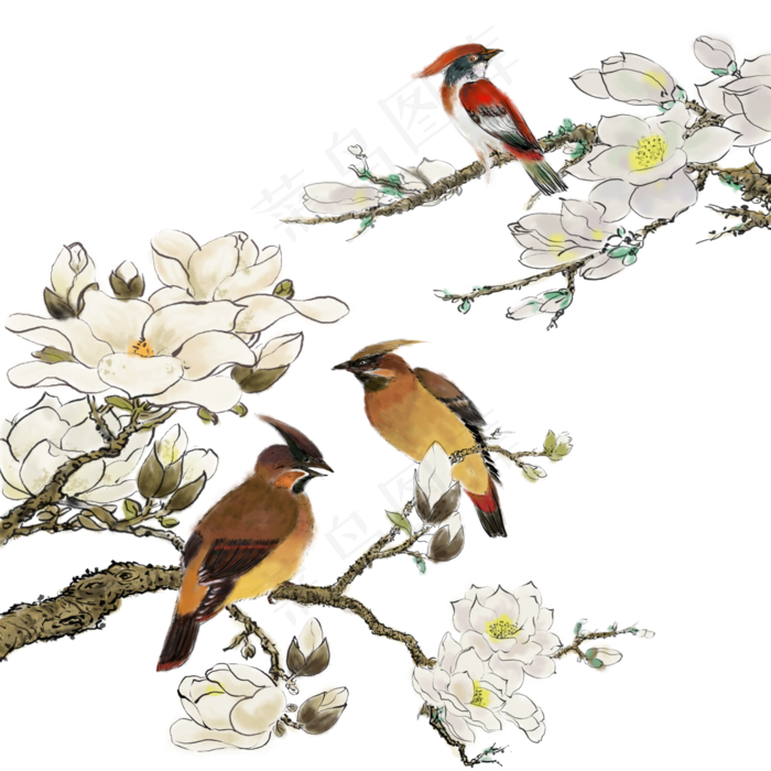 水墨花鸟花花枝,免抠元素