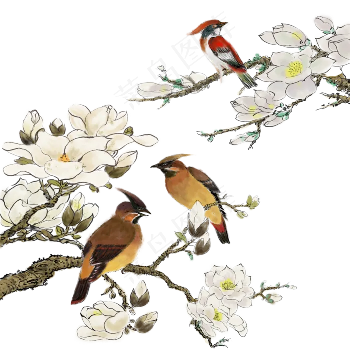 水墨花鸟花花枝,免抠元素