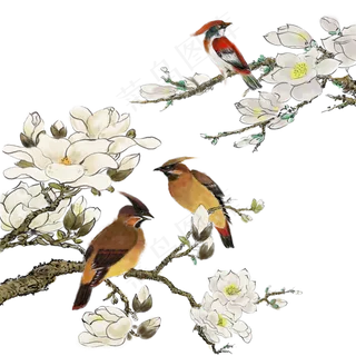 水墨花鸟花花枝,免抠元素