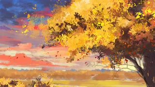 治愈场景风景大树夕阳阳光天空唯美云彩立秋