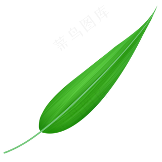 端午节竹叶叶子绿叶