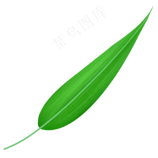 端午节竹叶叶子绿叶