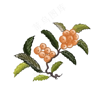 卡通手绘水彩枇杷免抠png