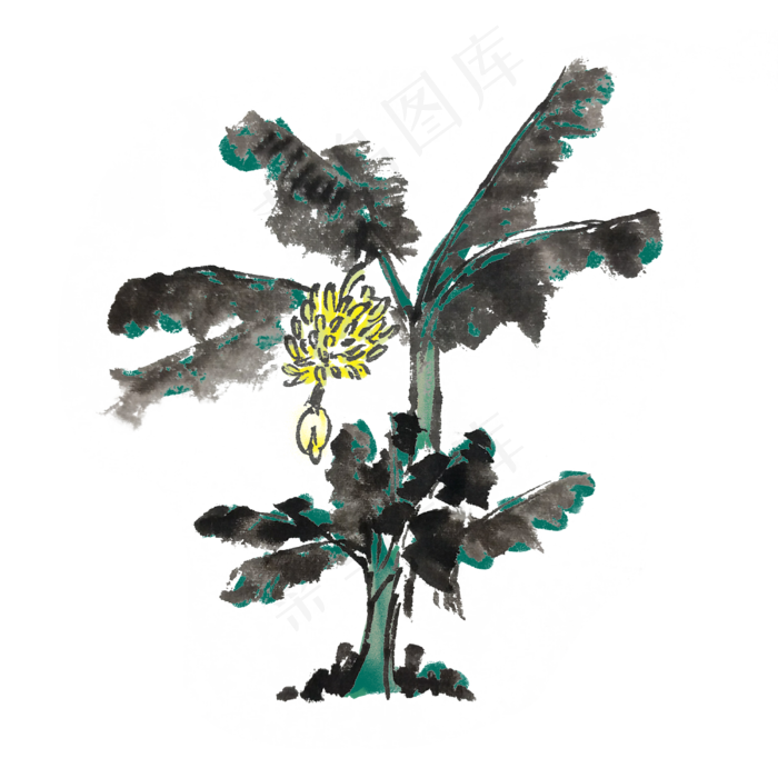 香蕉树水墨风手绘(4000X4000(DPI:300))psd模版下载