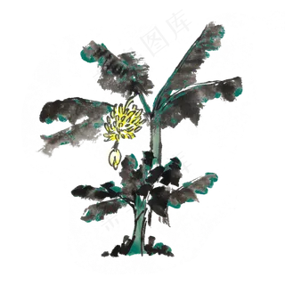 香蕉树水墨风手绘