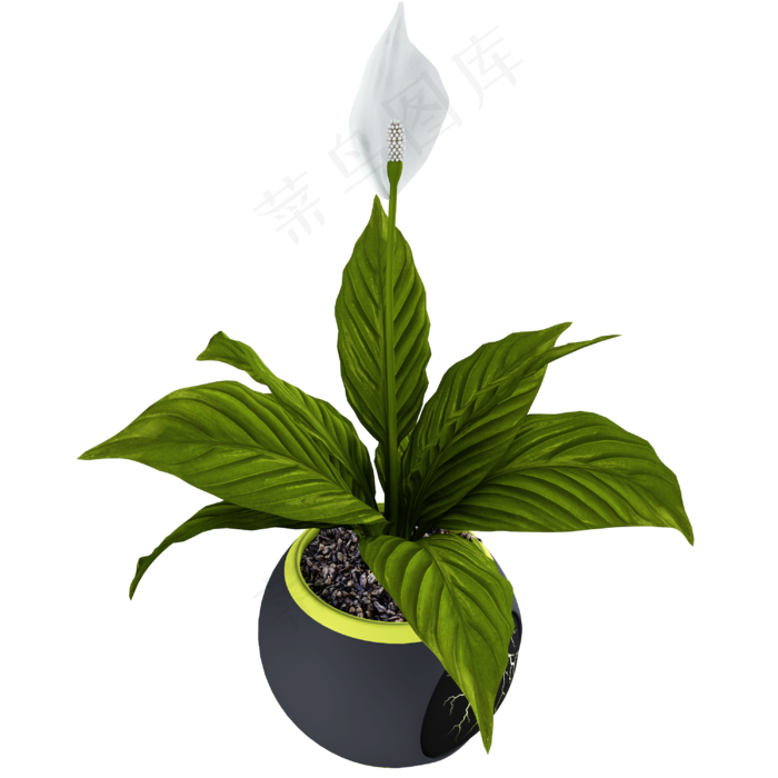 立体仿真白掌盆栽