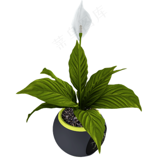 立体仿真白掌盆栽