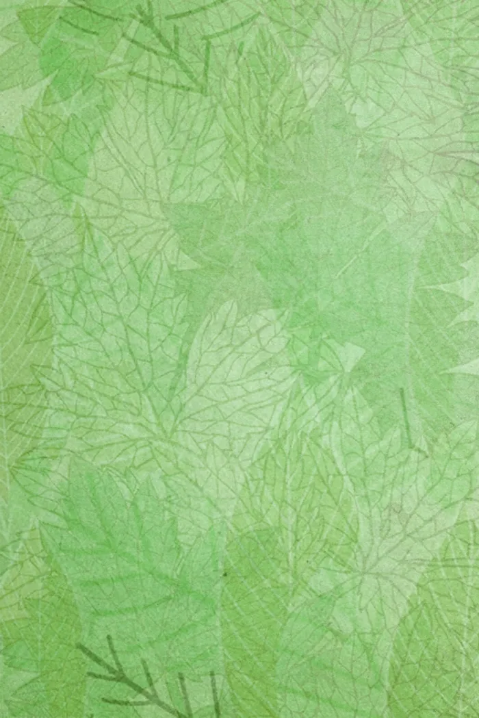 简约渐变特色底纹边框(3545*5315px 	      )psd模版下载