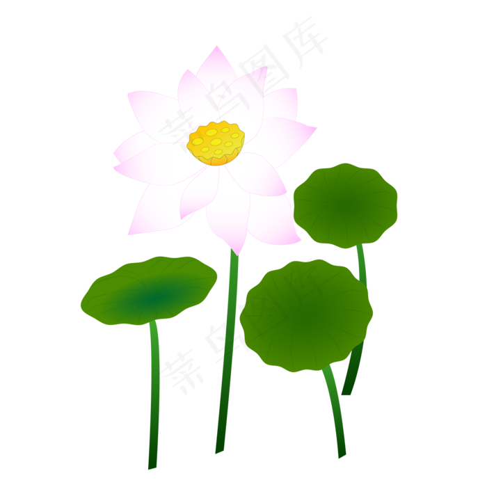 荷花荷叶矢量素材