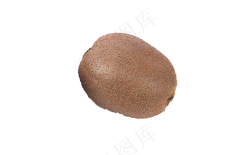 纯绿色种植的猕猴桃