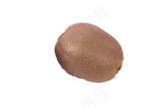 纯绿色种植的猕猴桃