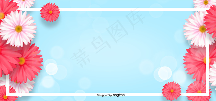 春天花花卉植物蓝色背景