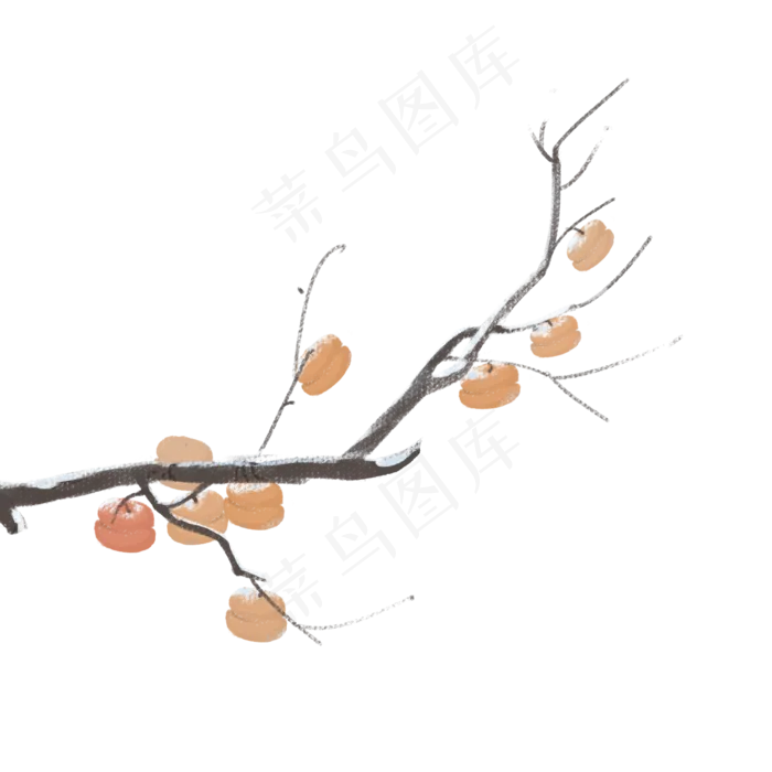 冬天柿子丰收大丰收(1500X1500(DPI:300))psd模版下载