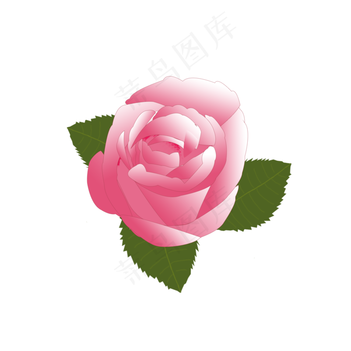 粉色玫瑰花朵玫瑰花元素(2000X2000(DPI:300))psd模版下载