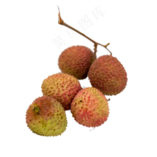 荔枝水果实物拍摄