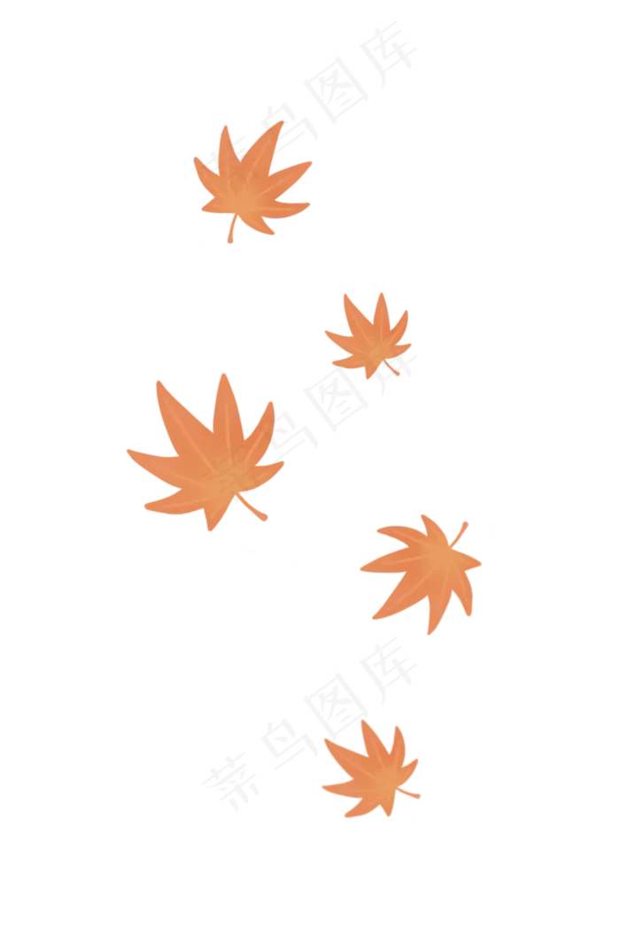 秋天手绘枫叶立秋节气,免抠元素