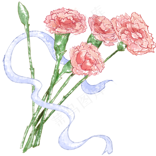 康乃馨手绘,免抠元素