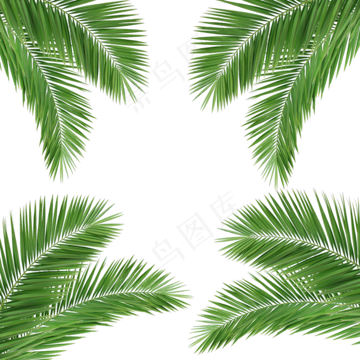 绿色植物边框
