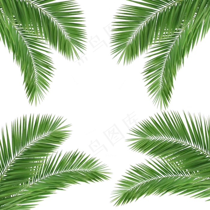 绿色植物边框(1000X1000(DPI:72))psd模版下载