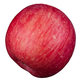 实拍果林果树一个水果