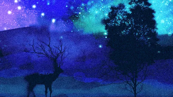 夏季夜空星空唯美意境风景