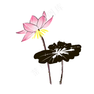 中国风水墨荷花莲花