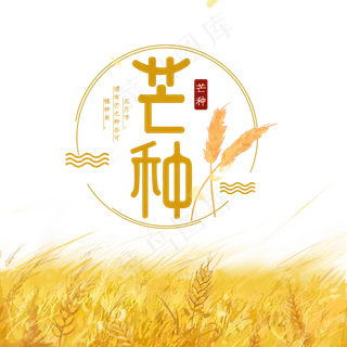 免抠金黄色芒种节气